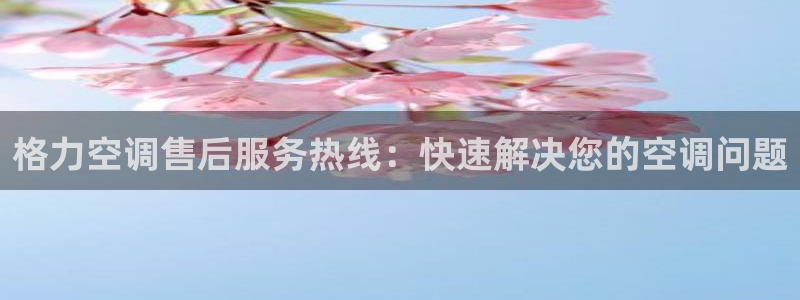 环球360手机版