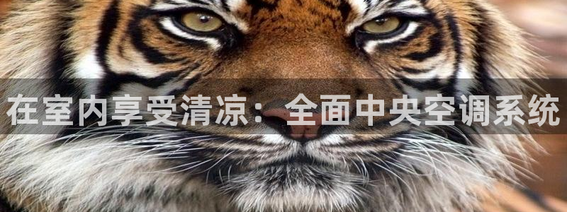电脑环球360登录网址