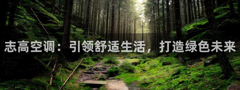 环球360官网手机版网址