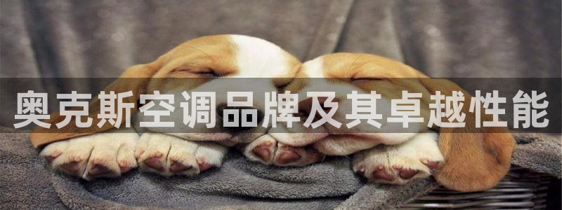 环球360app