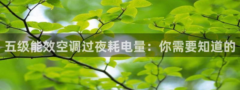 环球360网站最新官网地址是多少