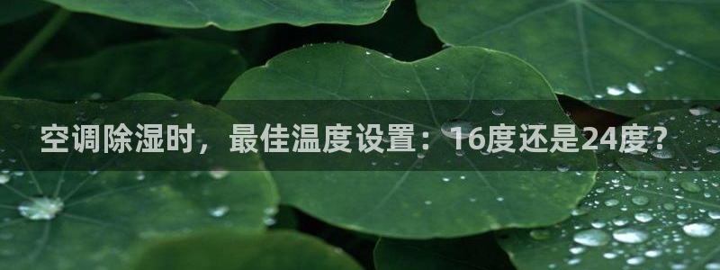 环球360被黑