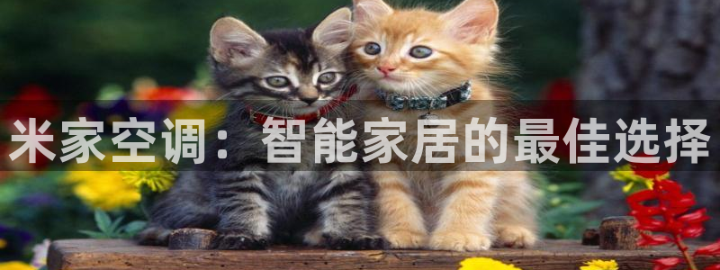下载环球360