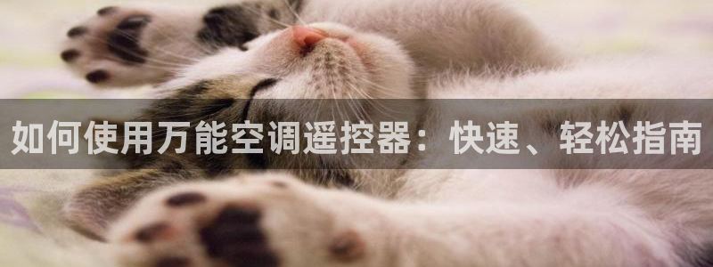 菲律宾环球360平台