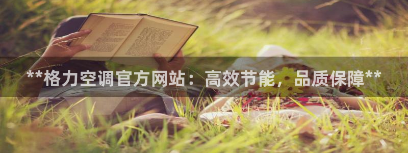 环球360正网注册