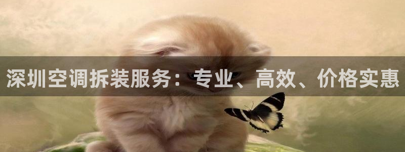 环球360网址加盟