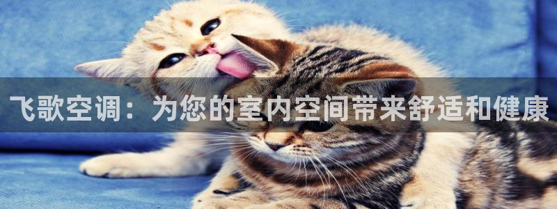 菲律宾环球360代理电话