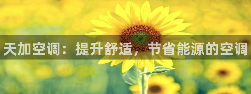 环球360片尾