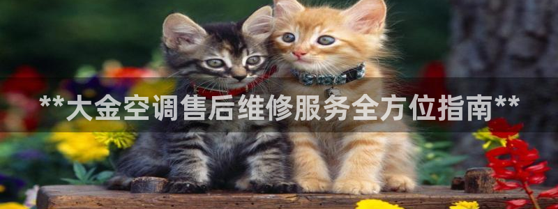 环球360会员登录入口在哪