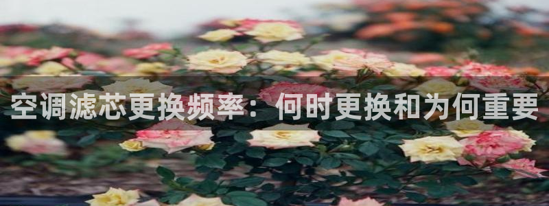 环球360登录网址是什么啊