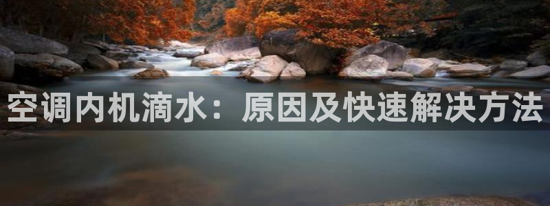 环球360买分一比一