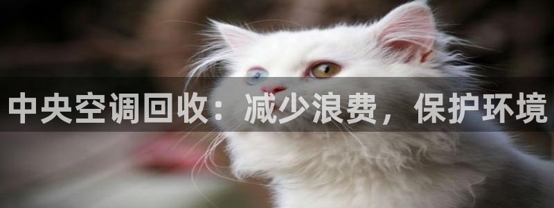 菲律宾环球360官网