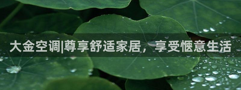 环球360假网
