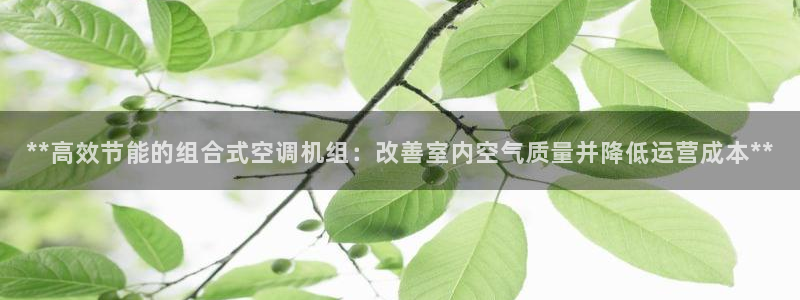 环球360注册账号