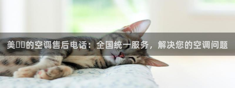 环球360游戏