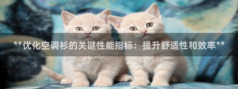 环球360飞机视频在线观看