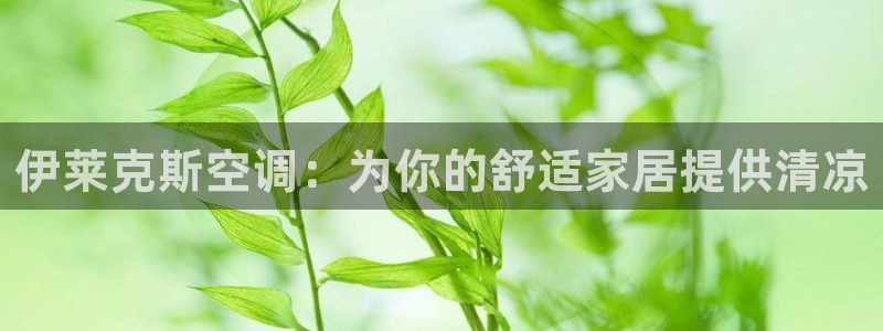 环球360平台注册