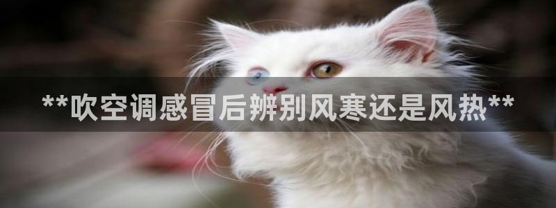 环球360平台一万分多少钱
