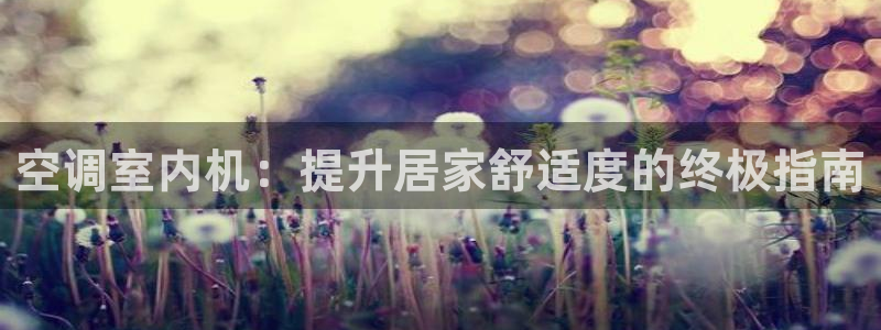 360环球网