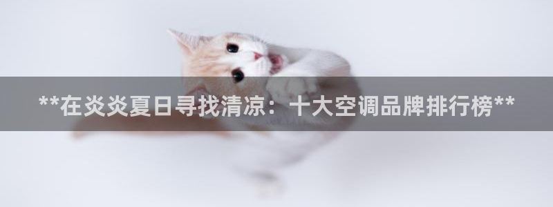 环球360官网会员注册不了了