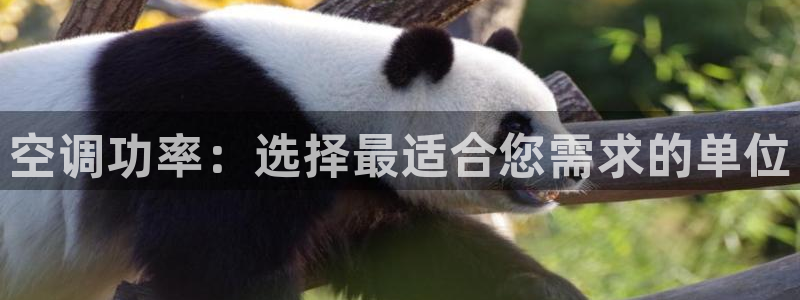 菲律宾环球360官网首页