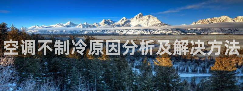 环球360这个娱乐网怎么样