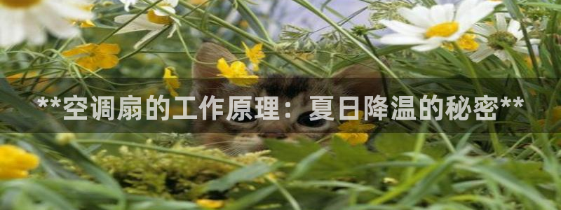 环球360信誉分