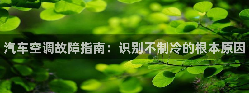 环球360论坛