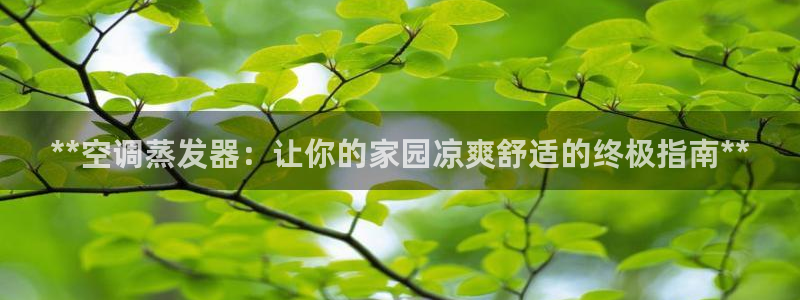 环球360官网手机版下载安卓
