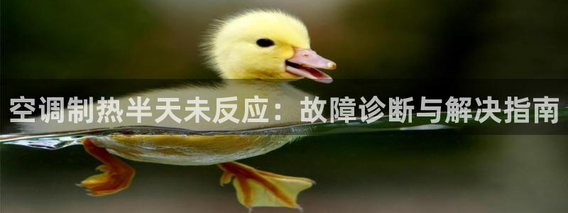 环球360飞机视频下载