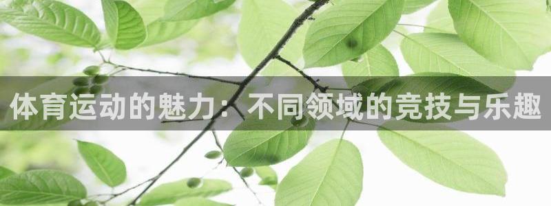 中欧体育ios：体育运动的魅力：不同领域的竞技与乐趣