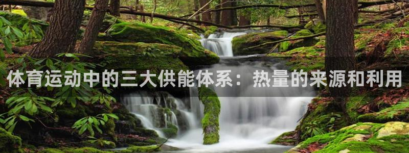 中欧体育(zoty)官网：体育运动中的三大供能体系：热量的来源和利用
